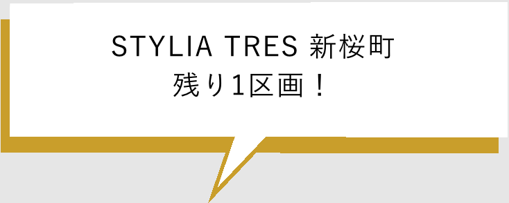 STYLIA TRES 新桜町 残り1区画!